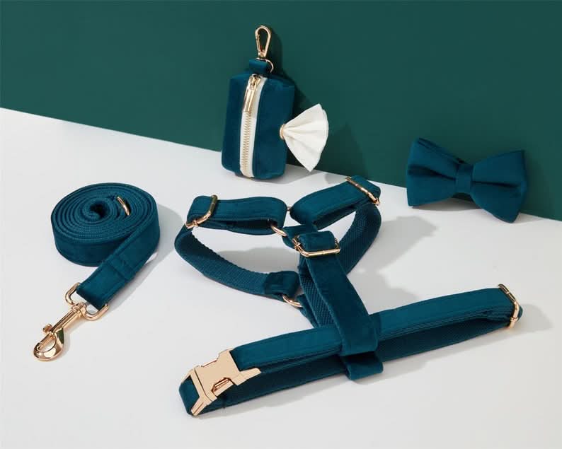 Teal Velvet Dog Harness and Leash Set | Personalized No Pull Step In Puppy Harness, Collar, Bowtie, and Poop Bag Holder | Wedding Pet Bundle - AmyEngraved