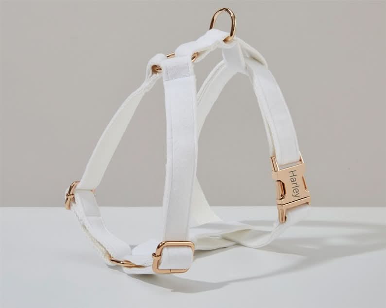 White Velvet Dog Harness and Leash Set | Personalized No Pull Step In Puppy Harness, Collar, Bowtie, and Poop Bag Holder | Wedding Pet Bundle - AmyEngraved