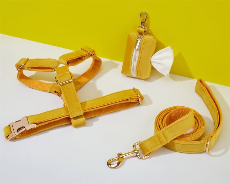 Yellow Velvet Dog Harness and Leash Set | Personalized No Pull Step In Puppy Harness, Collar, Bowtie, and Poop Bag Holder | Wedding Pet Bundle - AmyEngraved