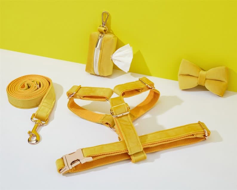 Yellow Velvet Dog Harness and Leash Set | Personalized No Pull Step In Puppy Harness, Collar, Bowtie, and Poop Bag Holder | Wedding Pet Bundle - AmyEngraved